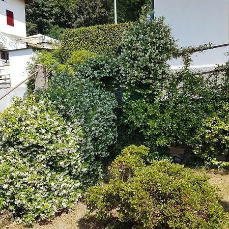 Villa La Palma Miazzina Exterior foto